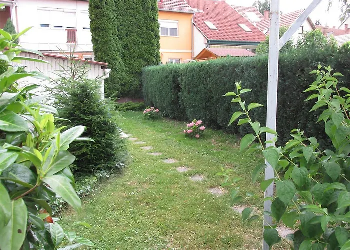 Bazis Eger