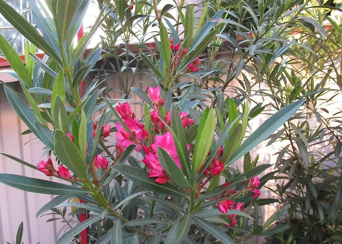 게스트하우스 Bazis *